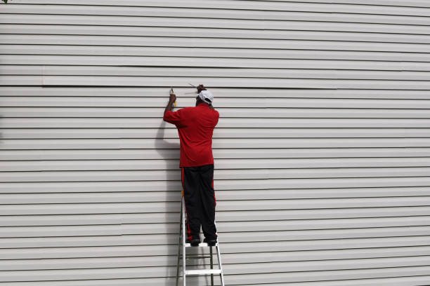 Best Brick Veneer Siding  in Loudon, TN